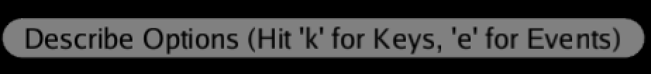 Describe options in RV