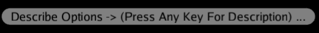 Describe options